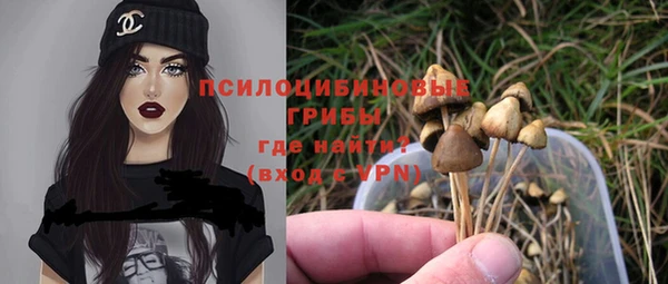 герыч Медвежьегорск